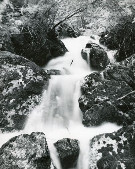 Picture of Along Rock Creek
